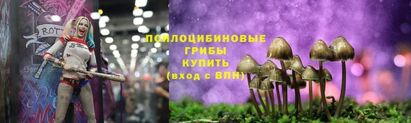стаф Михайловка