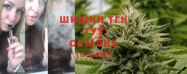 ALPHA PVP Михайловск
