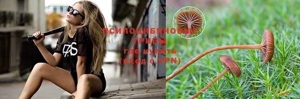 ALPHA PVP Михайловск