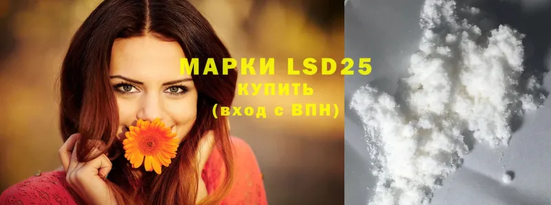 LSD-25 экстази ecstasy  дарнет шоп  Елизово 