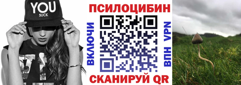 купить наркотик  Елизово  hydra ссылки  Псилоцибиновые грибы Magic Shrooms 