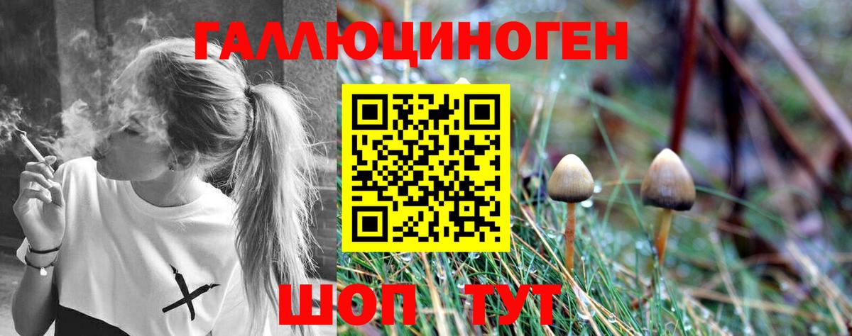 Галлюциногенные грибы Psilocybine cubensis Елизово