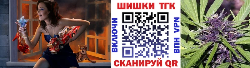 купить закладку  Елизово  МАРИХУАНА White Widow 